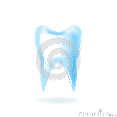 Realistic human tooth Vector Illustration
